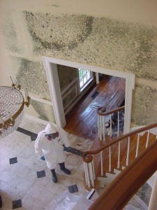 mold abatement in house